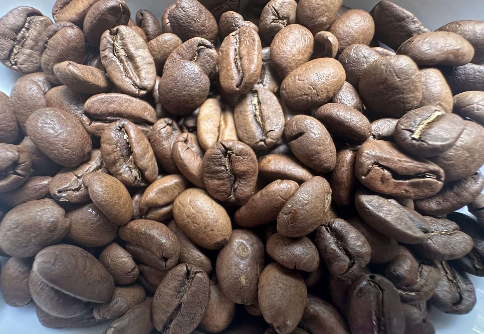 Asheville Orthopedic Acupuncture Coffee